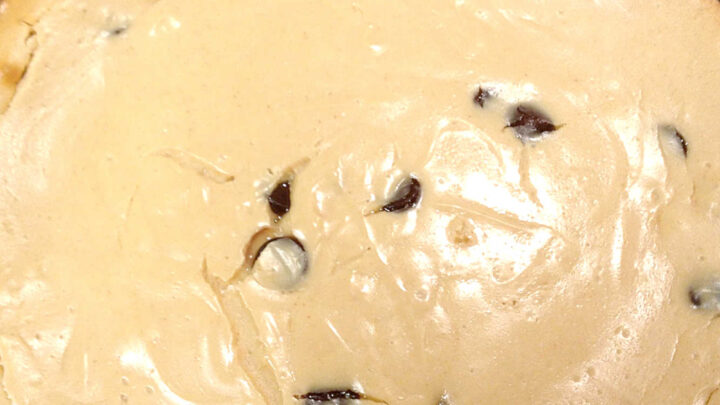 Indulge in guilt-free sweetness with our low fat peanut butter cheesecake. Perfect for satisfying cravings without the added guilt. #PeanutButterCheesecake #LowFatDessert #HealthySweetTreat #NoBakeCheesecake #GuiltFreeIndulgence