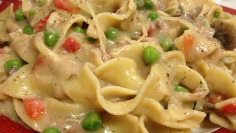 Make this stove top version of the traditional tuna noodle casserole on days when you don't really want to turn the oven on. This Stove Top Tuna Casserole has all the flavor, but requires no oven!