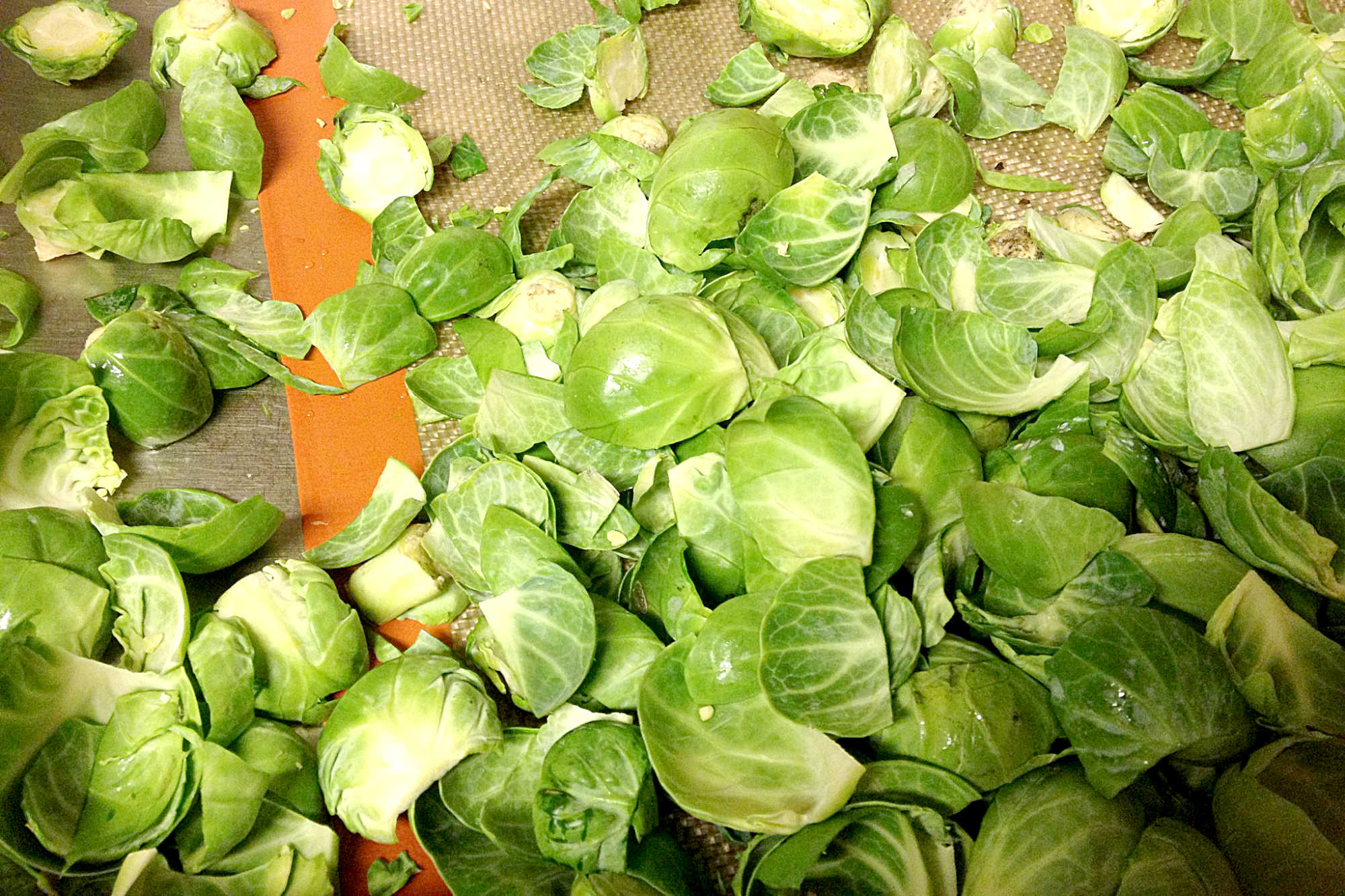 Elevate your veggie game with these fool-proof simply roasted Brussels sprouts. Perfectly crispy and full of flavor, you'll be begging for seconds #InstaFoodiesLoveBrussels #BrusselsSproutsForDays #RoastAndToastWithMe #VeggieObsessions #EasyAndDeliciousEats