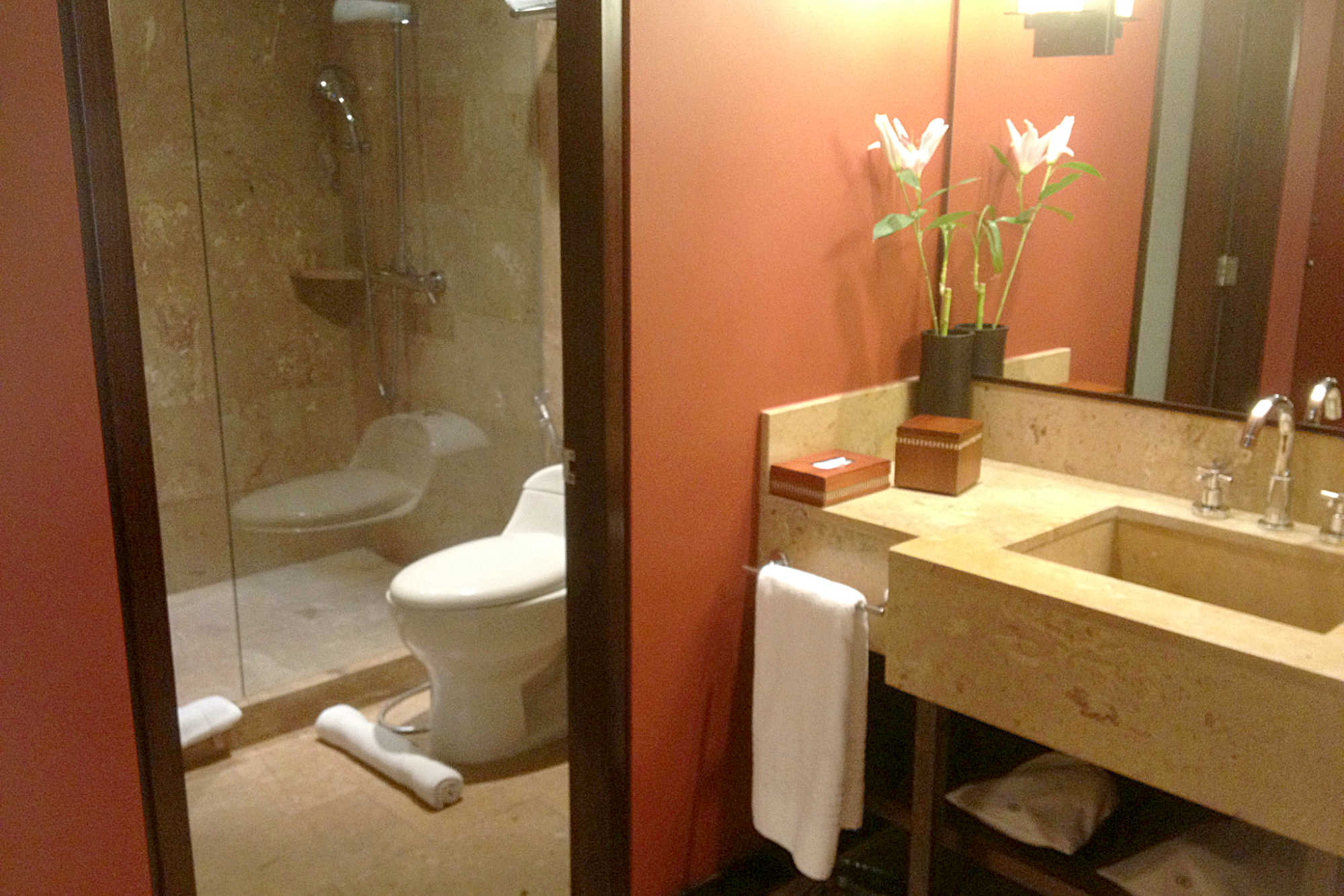 Picture of the Sofitel shower in Bogota Colombia