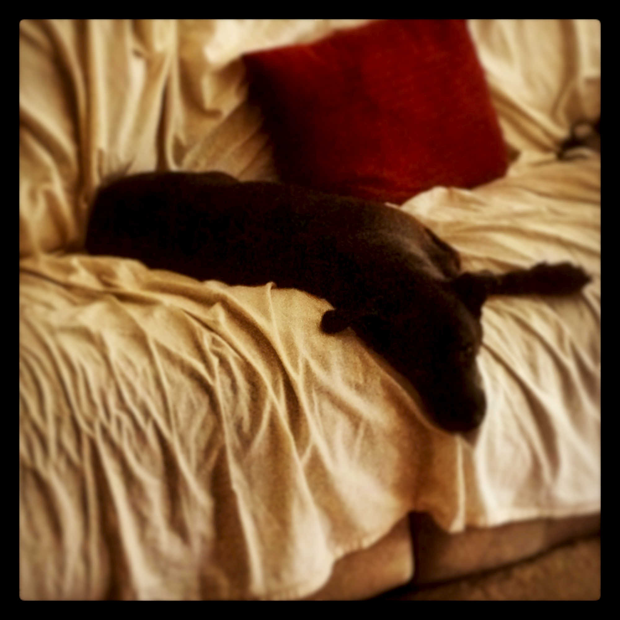Okay, so it wasn't entire the weekend in Instagrams, but several of the pics are from my Instagram. 