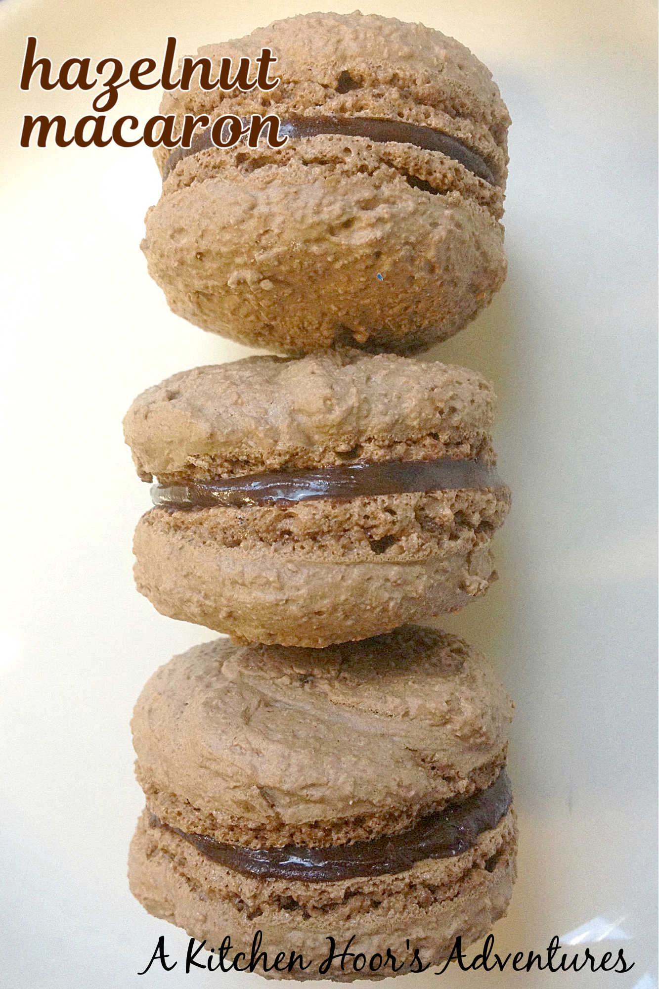 Hazelnut Chocolate Macarons are the perfect blend of nutty and chocolaty goodness. You won't be disappointed with this made for each other combo. #MacaronMania #ChocolateCravings #SweetTreats #HazelnutObsession #FrenchPastryPerfection