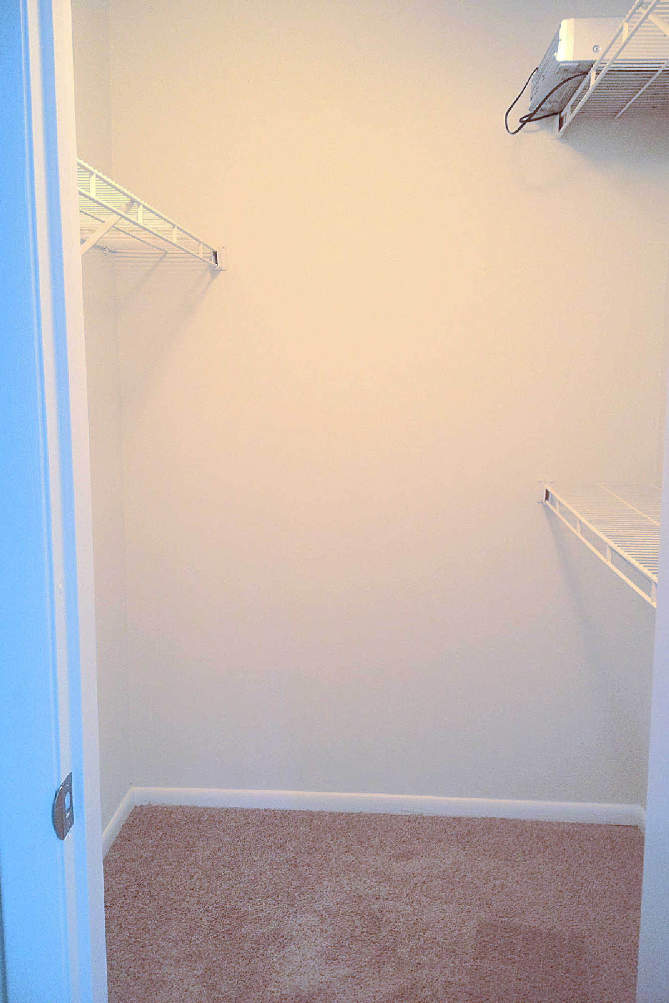 What muscle is that? Moving is exhausting, especially before a camping trip!