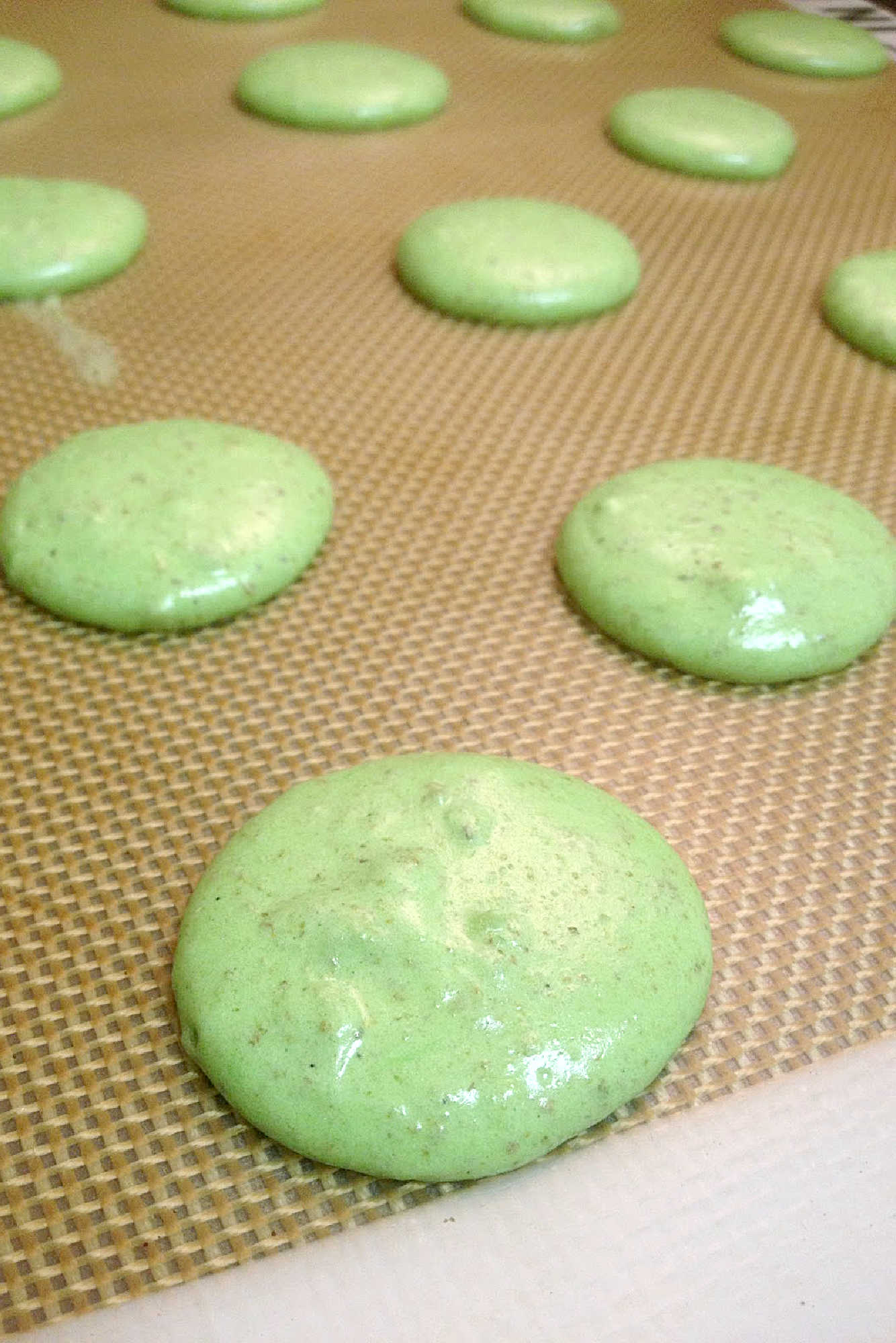 Rich pistachios pair with creamy, salted caramel in these irresistible Pistachio and Salted Caramel Macaron. #MacaronMondays #PistachioPerfection #SaltedCaramelCravings #FrenchPastryLove #DeliciousDupes
