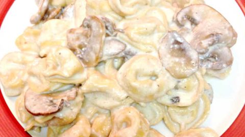 Using a secret ingredient, this Tortellini with Mushroom Alfredo Sauce stays creamy and delicious but is low fat! Yes, I said low fat Alfredo that is creamy AND delicious!