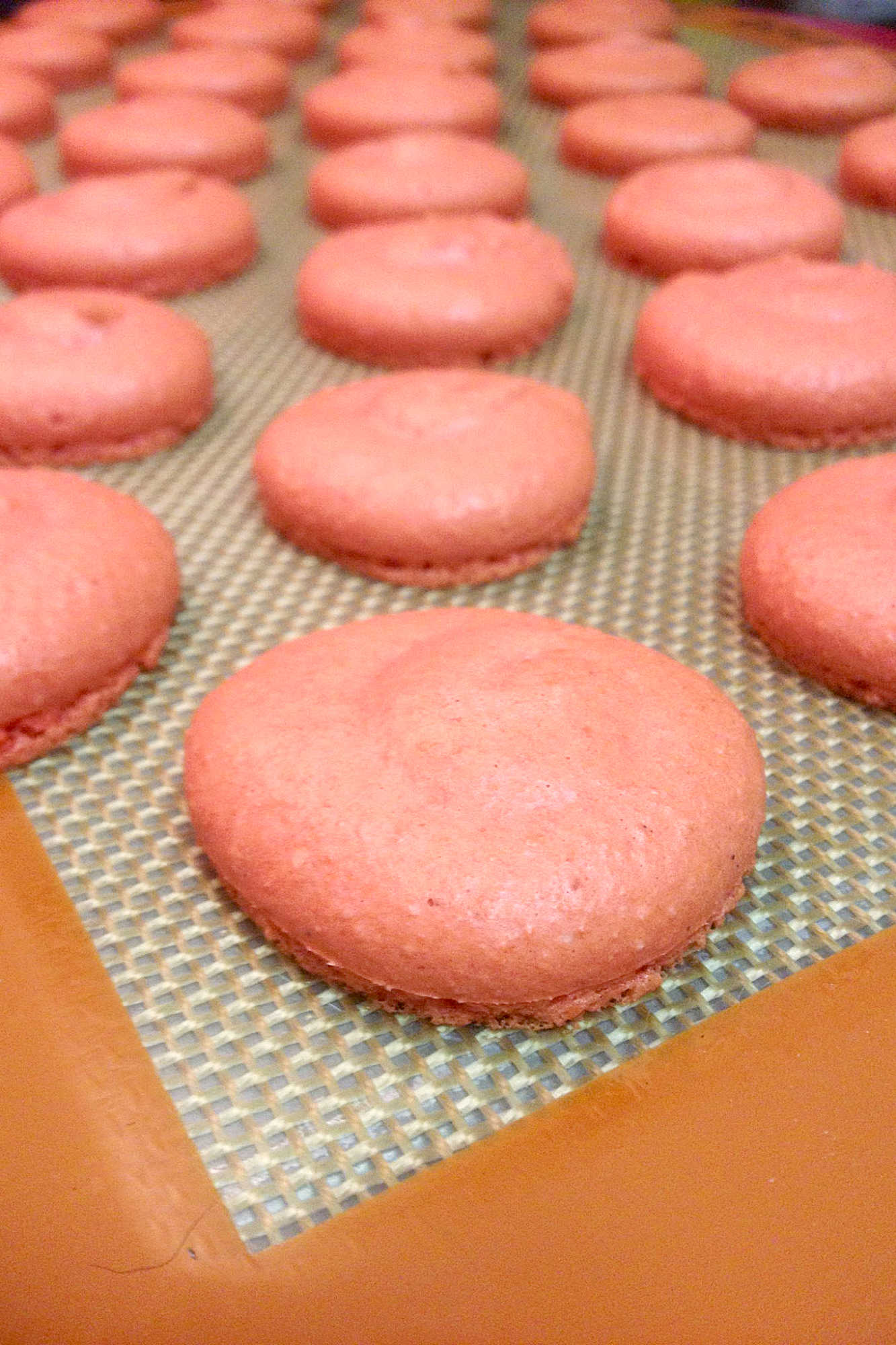 Upgrade your dessert game with these mouth-watering apple cheesecake macarons. Perfect for any occasion, these treats are sure to impress they have dried apples in the shell and cheesecake filling. #AppleCheesecakeMacarons #MacaronMania #DessertLoversUnite #HomemadeSweets #InstaFoodieHeaven