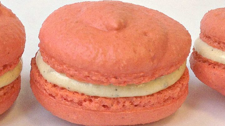 Upgrade your dessert game with these mouth-watering apple cheesecake macarons. Perfect for any occasion, these treats are sure to impress they have dried apples in the shell and cheesecake filling. #AppleCheesecakeMacarons #MacaronMania #DessertLoversUnite #HomemadeSweets #InstaFoodieHeaven