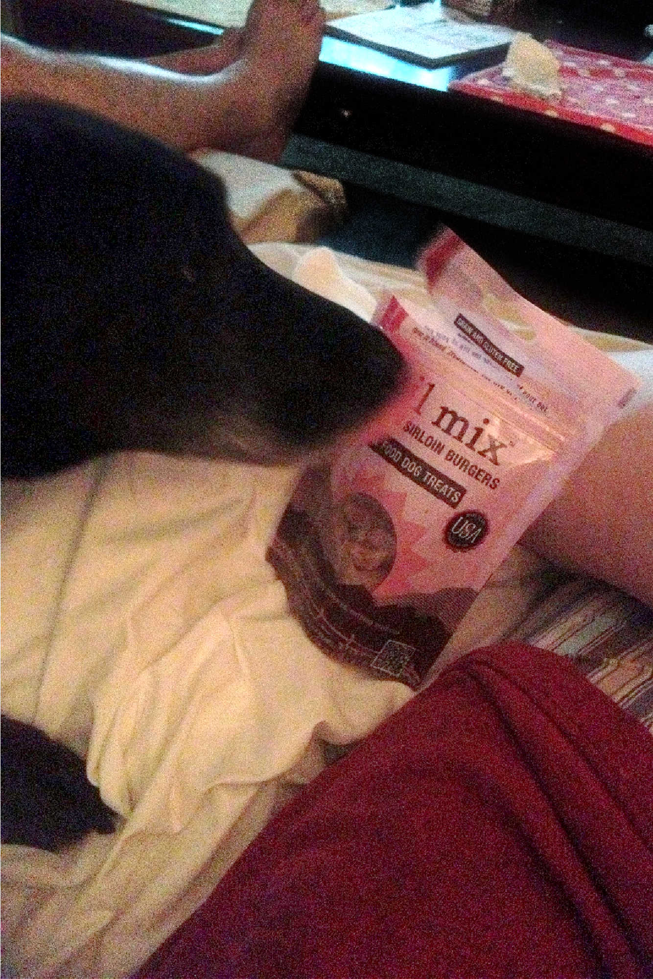 BarkBox: An explosion of unique dog treats and toys each month! 🎆 We've reviewed it. Spoiler: My dogs give it two paws up 🐾 #BarkBoxReview #PupsLoveBarkBox #DogApprovedSubscription #PetParentPicks #BarkBoxUnboxing #DogLovers