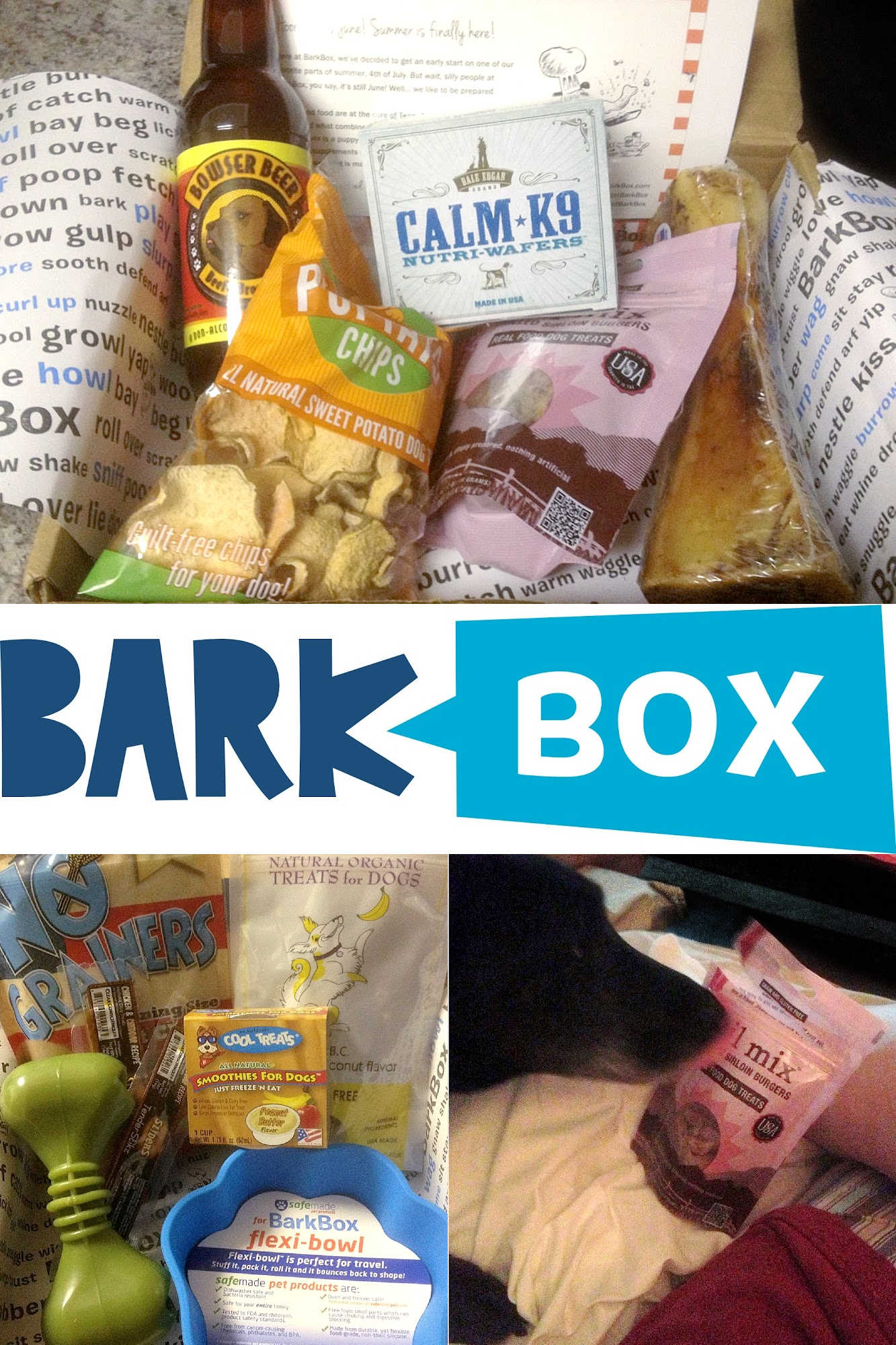 BarkBox: An explosion of unique dog treats and toys each month! 🎆 We've reviewed it. Spoiler: My dogs give it two paws up 🐾 #BarkBoxReview #PupsLoveBarkBox #DogApprovedSubscription #PetParentPicks #BarkBoxUnboxing #DogLovers