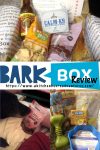 BarkBox: An explosion of unique dog treats and toys each month! 🎆 We've reviewed it. Spoiler: My dogs give it two paws up 🐾 #BarkBoxReview #PupsLoveBarkBox #DogApprovedSubscription #PetParentPicks #BarkBoxUnboxing #DogLovers