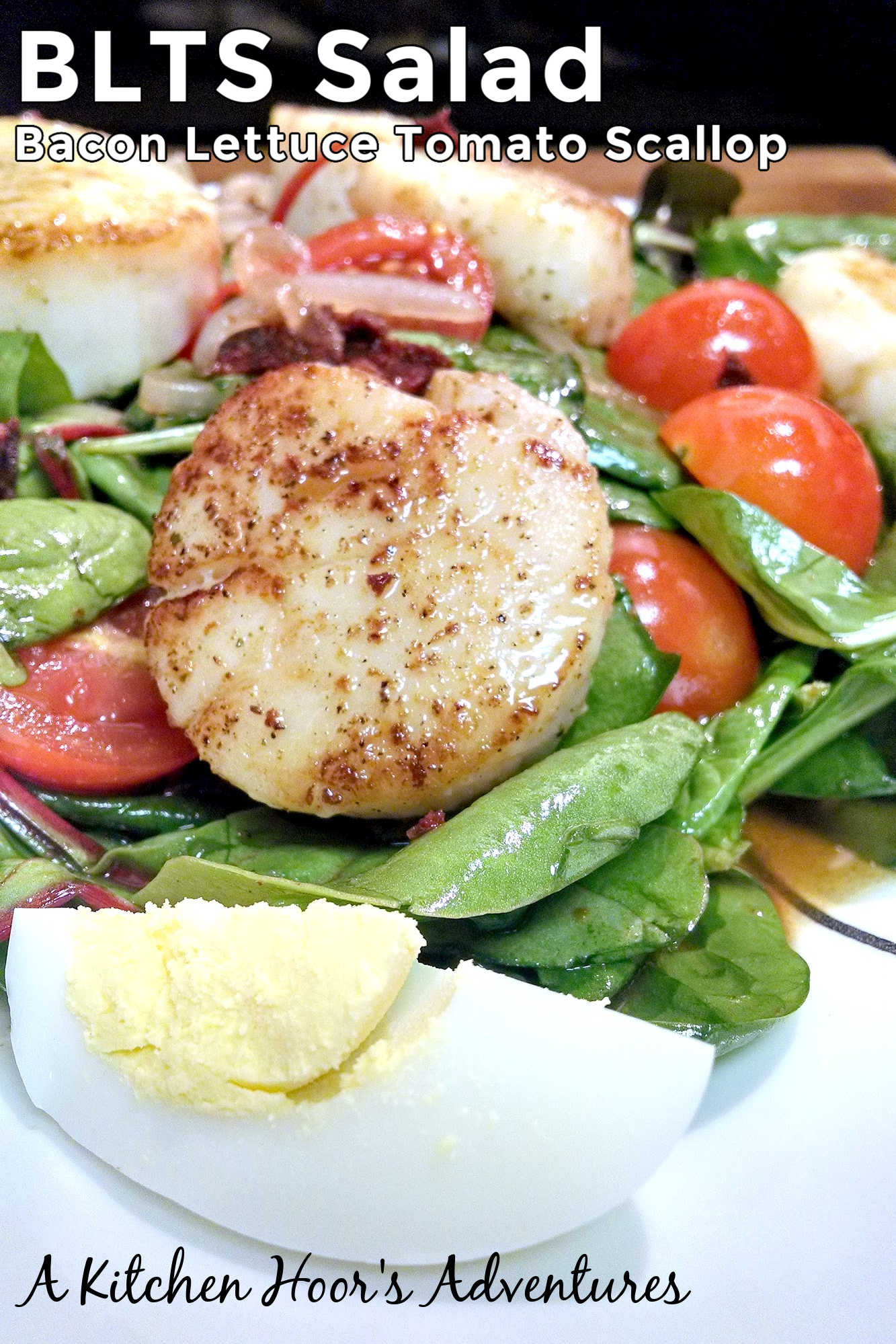 Forget boring old salads, it's time to level up with this BLTS Salad.  Made with bacon, lettuce, tomato, and scallops it's sure to be a crowd-pleaser! #BaconLoversDelight #SaladGoals #FreshFromTheSea #TastetheOcean #FarmtoTableFridays #BLTScallopSalad  #saladseries #FoodieFaves #SummerSalads #HealthyEats #SeafoodSensation #BaconLoversUnite #SavorySummer #Saladstagram #InstaSaladShare 