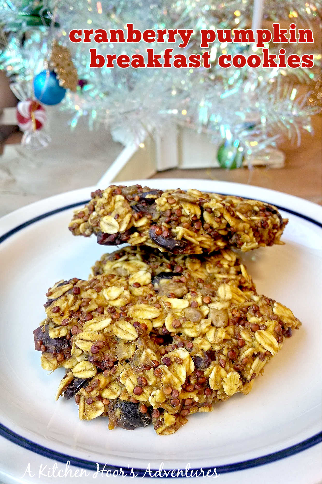 Yup!  I said cookies for breakfast!  These Cranberry Pumpkin Breakfast Cookies are full of fiber and protein to keep you full.