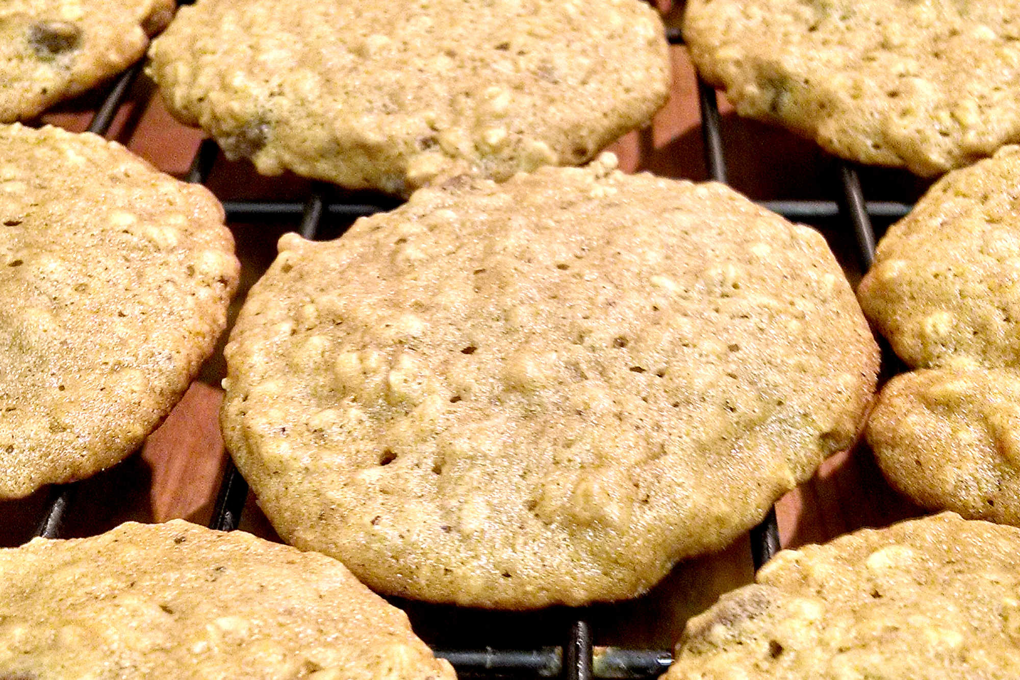 Craving something sweet and seasonal? These pumpkin oatmeal cookies are the solution. Easy to make, delicious to eat, and guaranteed to get you in the holiday spirit. #PumpkinOatmealCookies #FallBaking #HealthyTreats #OatmealLovers #SeasonalSweets