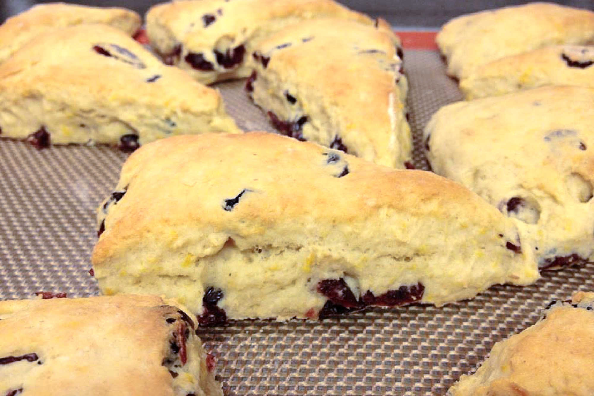 The perfect pairing for your morning coffee or afternoon tea - these mouth-watering Cherry Berry Scones. Satisfy your cravings and treat yourself today. #CherryBerryScones #BakeWithLove #FruitSconeHeaven #BreakfastBaking #SconesOfInstagram