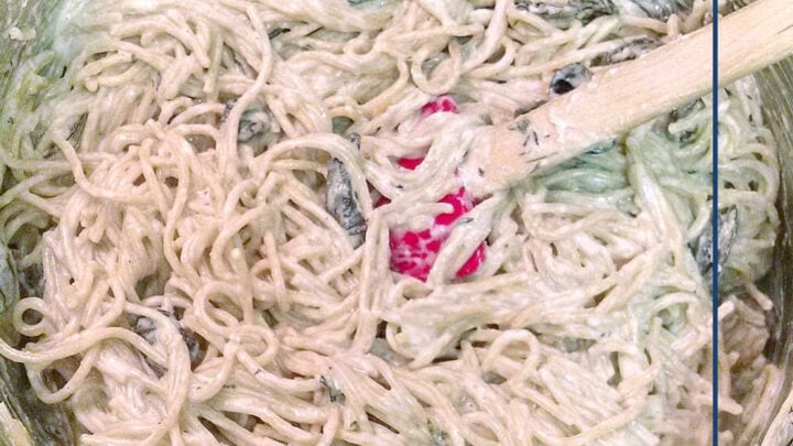 Roasted Mushroom & Goat Cheese Alfredo is the perfect comfort food. Creamy pasta paired with savory mushrooms and tangy goat cheese it’s a uick and easy to make for any weeknight dinner that’s a match made in foodie heaven. #MushroomGoatCheeseAlfredo #InstaRecipes #MushroomLoversUnite #AlfredoObsessed #CheesyGoodness #pasta #goatcheese #meatlessmonday #alfredo #vegetarian