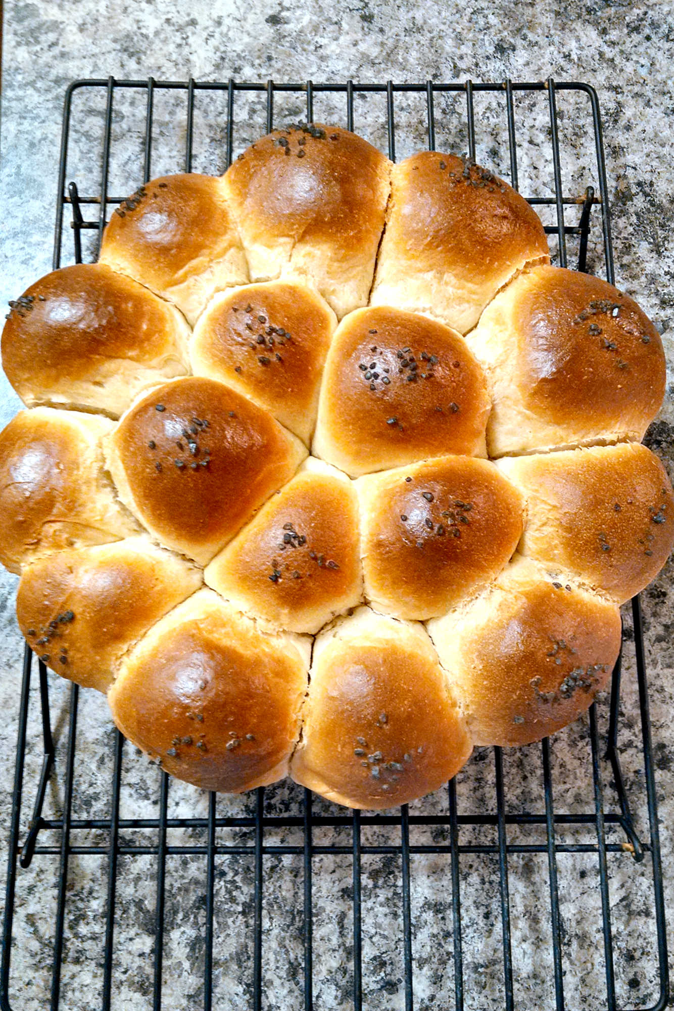 These Classic Dinner Rolls are soft, simpler, and easily to make for any dinner. You can make them ahead of time, freeze, and then pop them into the oven to have for dinner. #breadbaking #homemadeholidays #freshfromtheoven #yeastdoughlove #carbsarelife #homemadebread #bakingfromscratch #foodphotography #yeastlove #carbsarelife