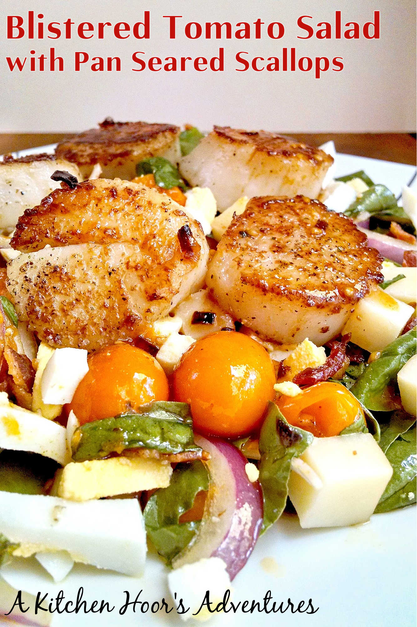 Upgrade your routine with Blistered Tomato Salad with Pan Seared Scallops. This quick, restaurant-worthy dish fits easily into busy lifestyles while offering bright and satisfying flavors.  #saladlove #scallopsfordays #foodiefinds #summerfood #seafoodlovers #saladgoals #TomatoSaladGoals #SeafoodLoverEats #ScallopsandGreens #HealthyFoodieFinds #SummerSaladCravings
