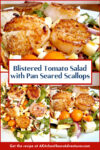 Upgrade your salad game with this unique and tasty Blistered Tomato Salad with Pan Seared Scallops! A perfect blend of textures and flavors that will leave you wanting more. #saladlove #scallopsfordays #foodiefinds #summerfood #seafoodlovers #saladgoals #TomatoSaladGoals #SeafoodLoverEats #ScallopsandGreens #HealthyFoodieFinds #SummerSaladCravings
