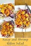Try out this Satay Shrimp and Udon Salad and satisfy all your cravings in one bite! Give your taste buds a treat with this perfect combination of flavors! #AsianCuisineDelights #SeafoodSaladCravings #NoodleLoversDream #SizzlingSatayFlavors #HealthyEatingGoals #UdonSalad #SatayShrimp #WokAndRoll #SeafoodLover