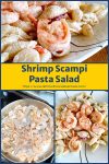 Looking for a refreshing and satisfying summer salad? Look no further than this mouthwatering Shrimp Scampi Pasta Salad. Packed with succulent shrimp and bursting with flavor. #shrimpscampi #pastalove #foodiefinds #summerpasta #seafoodlover