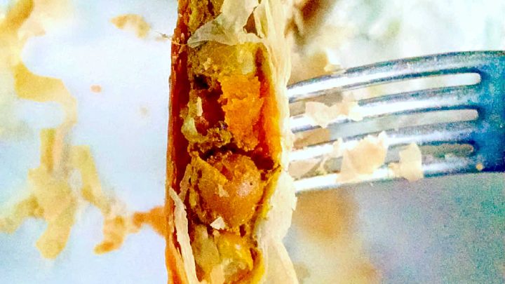 Pan Roasted Pumpkin Samosas