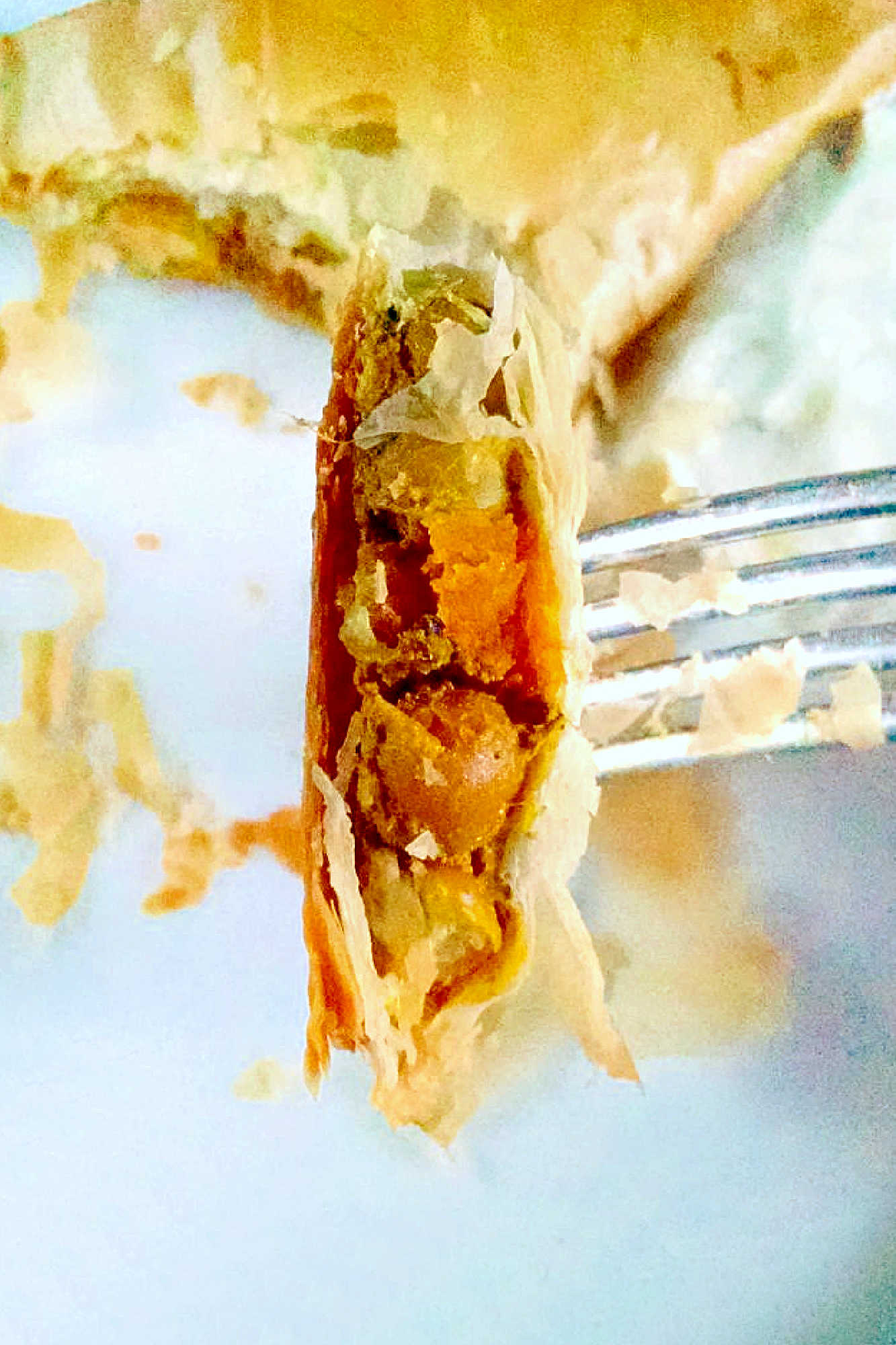 Craving something warm and comforting on a chilly day? Our pan roasted pumpkin samosas are the answer. Bite into the crispy pastry and delicious pumpkin filling for the ultimate cozy experience. #SamosaLoverSociety #FallFlavorsDelight #VeganSnackAttack #PumpkinSpiceSamosas #IndianCuisineCravings