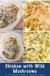 Upgrade your dinner game with a savory twist and make this Chicken with Wild Mushrooms. It isbursting with earthy flavors and is perfect for a cozy night in. #CookingWithMushrooms #FoodieFinds #MushroomLovers #FarmToFork #InstaFoodInspo #chickendinner #WildMushroomRecipe #ChickenDinnerInspo #FoodieFaves #MushroomLoversUnite #GourmetChickenDish