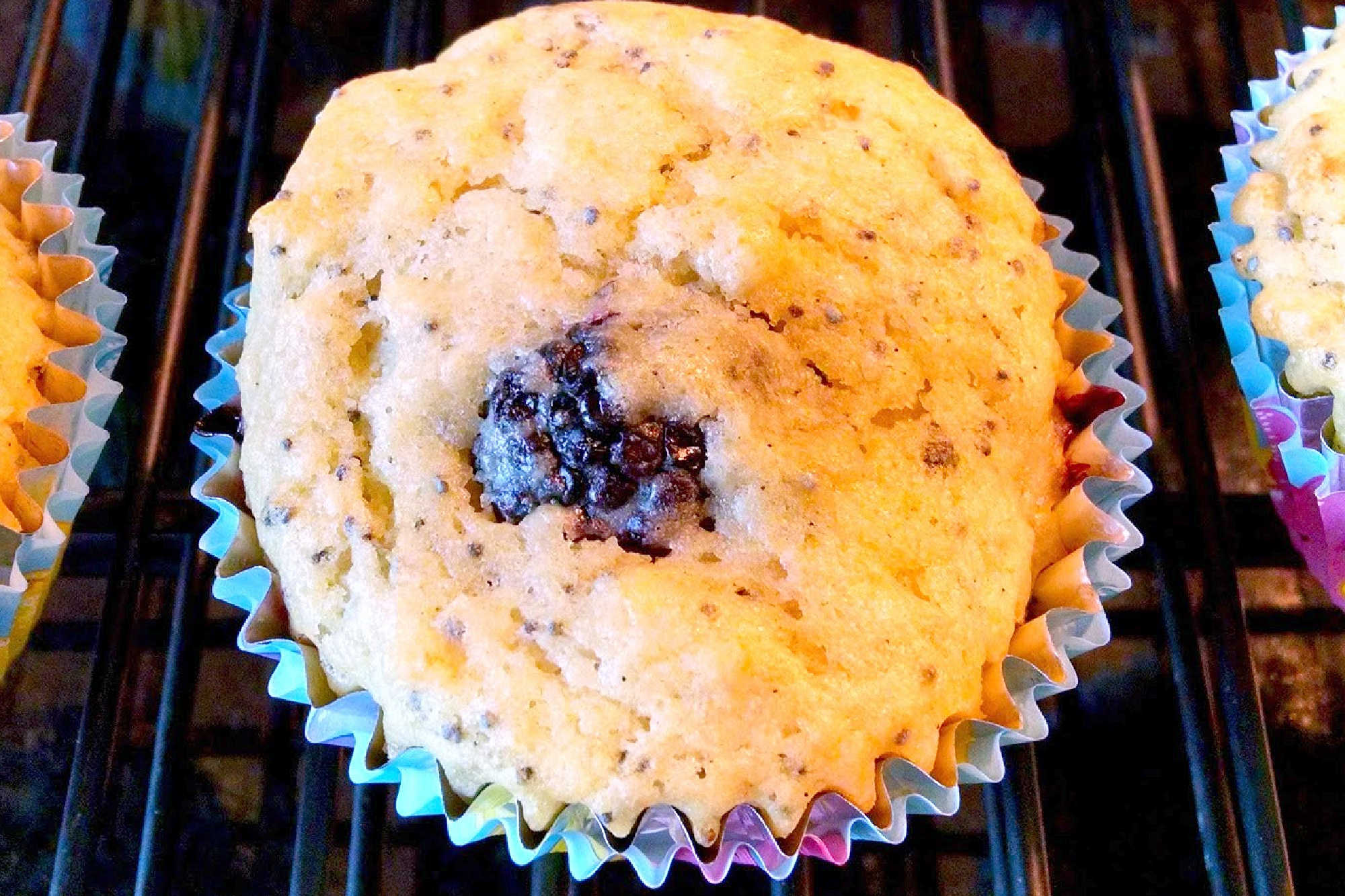 Lemon Blackberry Poppy Seed Muffins