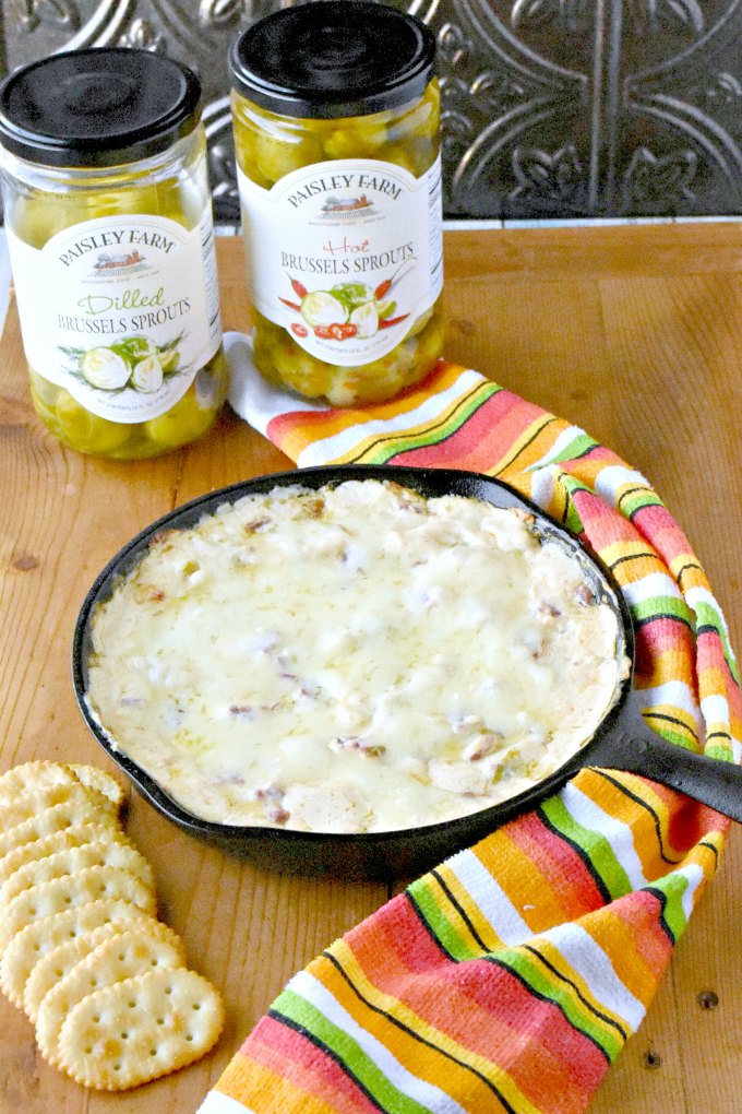Skip the sauerkraut and try adding some Paisley Farm pickled Brussels sprouts in this delicious dip. Hot Reuben and Sprouts Dip is creamy, full of flavor, and comes together easily. Your family will ask for it every holiday! #paisleyfarm #paisleyfarmfresh #kroger @paisley_farm @krogerco