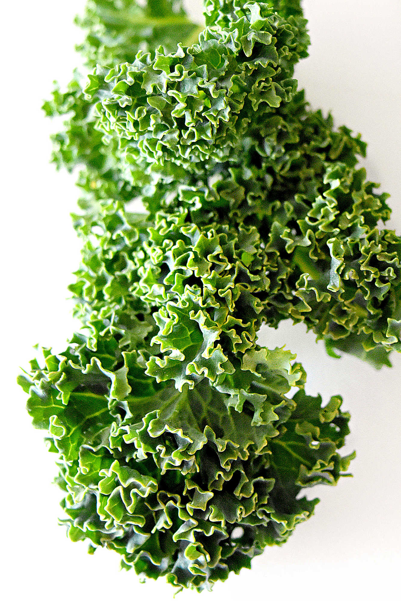 Ready to take your taste buds on a journey to the South? Look no further than Delicious Southern Kale! ๐
A mouthwatering experience that will leave you wanting more. #kalerecipe #southernkale #comfortfood #sidedish #SouthernKaleDelight #FarmFreshFlavors #SoulfulCooking #KaleRecipes #HealthyEatingHabits #SouthernFlavors #TasteTheSouth #DeliciousSouthernKale