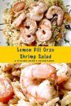 Elevate your salad game with this Lemon Dill Orzo Shrimp Salad! Bursting with zesty flavors and packed with protein, it's a delicious and satisfying meal option. #ShrimpSaladDelight #LemonyGoodness #HealthyLunchInspo #SeafoodSaladGoals #OrzoLoversUnite #LemonDillOrzoShrimpSalad #HealthyEatingGoals #SummerSaladInspo #SeafoodLoversUnite #FoodieFaves