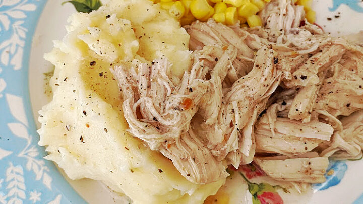 Meal Planning Week 11 highlights the use of the slow cooker for almost all your dinner needs.  From breakfast to side dishes and, of course, dinner you can make an easy meal without turning on the oven. #familymealplanning #mealplanningideas #mealplanningworks #easymealplanning #weeklymealplanning