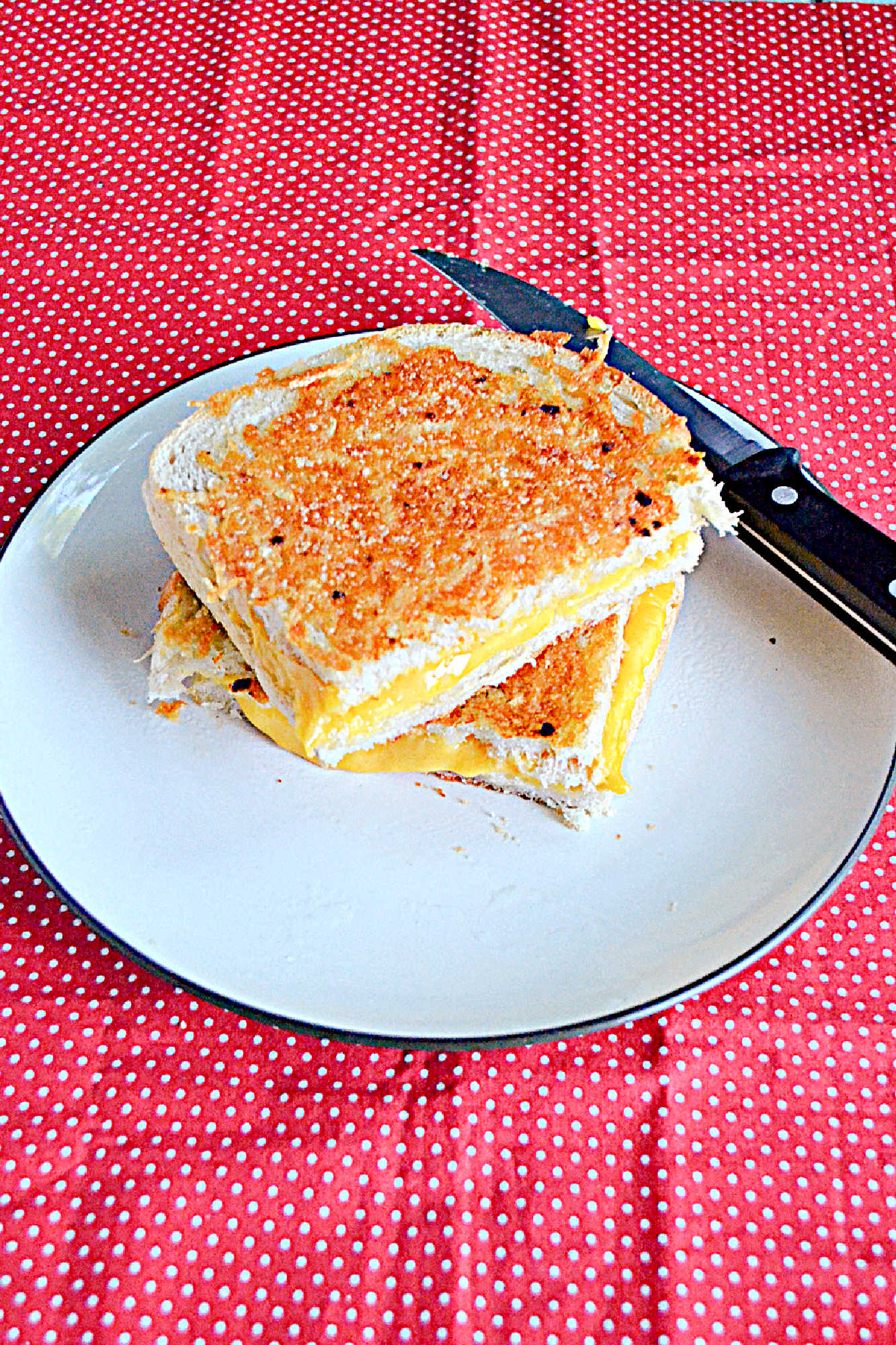 Kids and adults will love this delicious Gourmet Grilled Cheese with two cheeses on the inside and a garlic butter and parmesan encrusted bread on the outside.