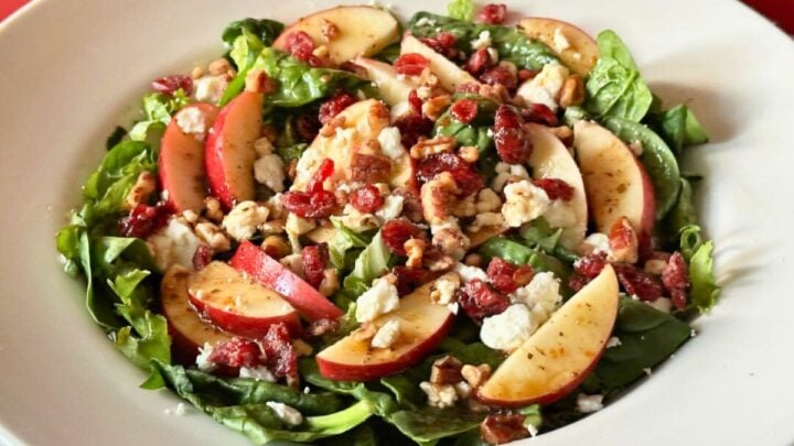 This apple gorgonzola salad with balsamic vinaigrette combines crisp apples, gorgonzola, pecans and dried cranberries in a fresh, tasty salad.