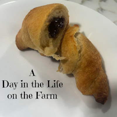 o muss, no fuss stuffed Crescent Rolls, requiring only 2 ingredients and 15 minutes.