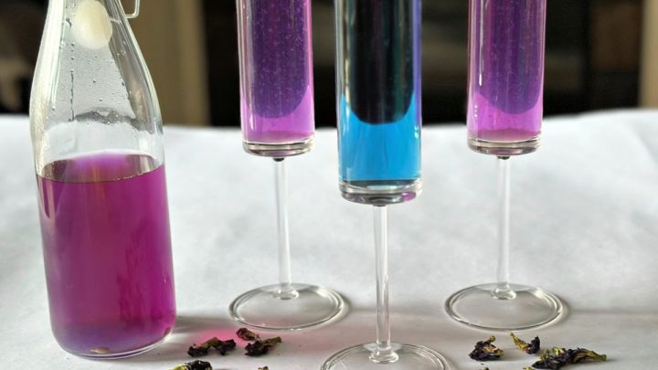 Use butterfly pea flower tea to craft cocktails that change color like magic—stunning, simple, and delicious!