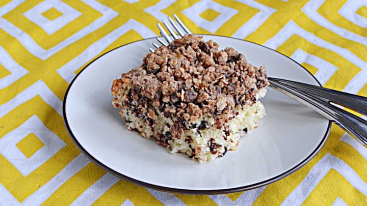 Soft and fluffy coffee cake is studded with mini chocolate chips then is topped off with an oat, cinnamon, and chocolate chip crumble.