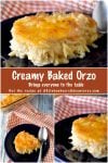 Take your cooking skills to the next level with Creamy Baked Orzo. Discover how this simple yet flavorful dish can add sophistication and elegance to your meals. It will impess even the most discerning palates. #OrzoObsessed #CreamyComfortFood #OnePotWonders #ItalianInspiredEats #PastaPerfection