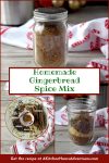 Say goodbye to store-bought spice blends and impress your loved ones with a personalized gift from the kitchen. Get ready to unleash the flavor in your baking with your very own homemade gingerbread spice mix! #OurFamilyTable #HomemadeGingerbreadSpice #DIYGingerbreadSpice #SpiceUpYourBaking #HolidayBakingEssentials #SeasonalSpiceMix