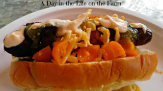 Hot dogs wrapped in bacon and grilled until crisp then placed onto a sweet that has been slathered with refried beans and topped with tomatoes, salsa verde, shredded cheese and spicy sauce.