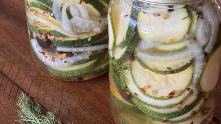 Refrigerator Zucchini Pickles make a great addition to a sandwich or salad and can be enjoyed weeks after you harvest them.