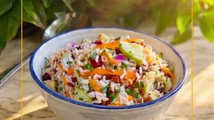 Apple Pecan Brown Rice Salad is a healthy side dish with brown rice, apples, cranberries, carrots, onions and pecans.